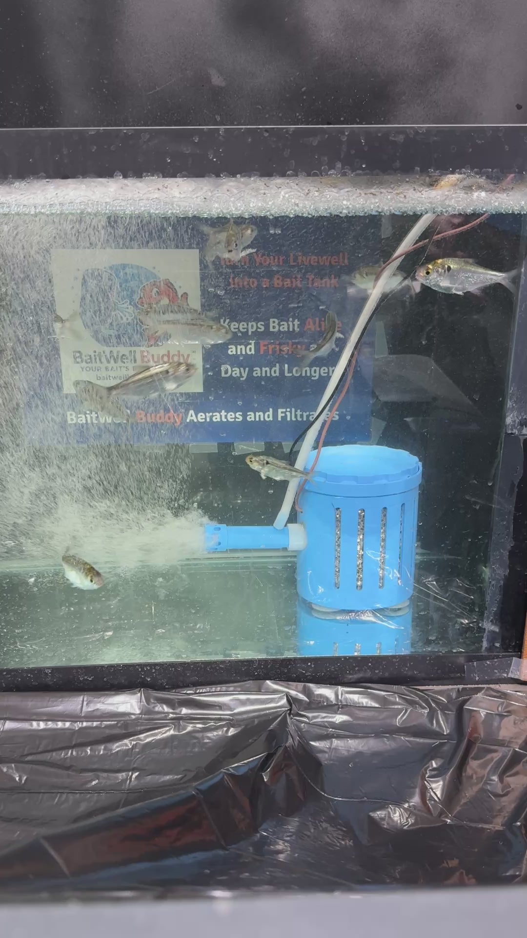 BaitWell Buddy System