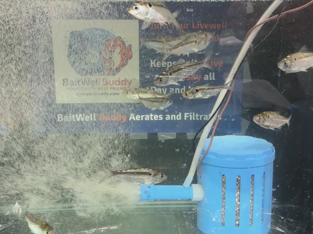 BaitWell Buddy System