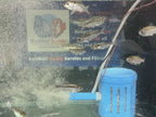 BaitWell Buddy System