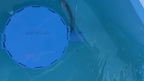 BaitWell Buddy System