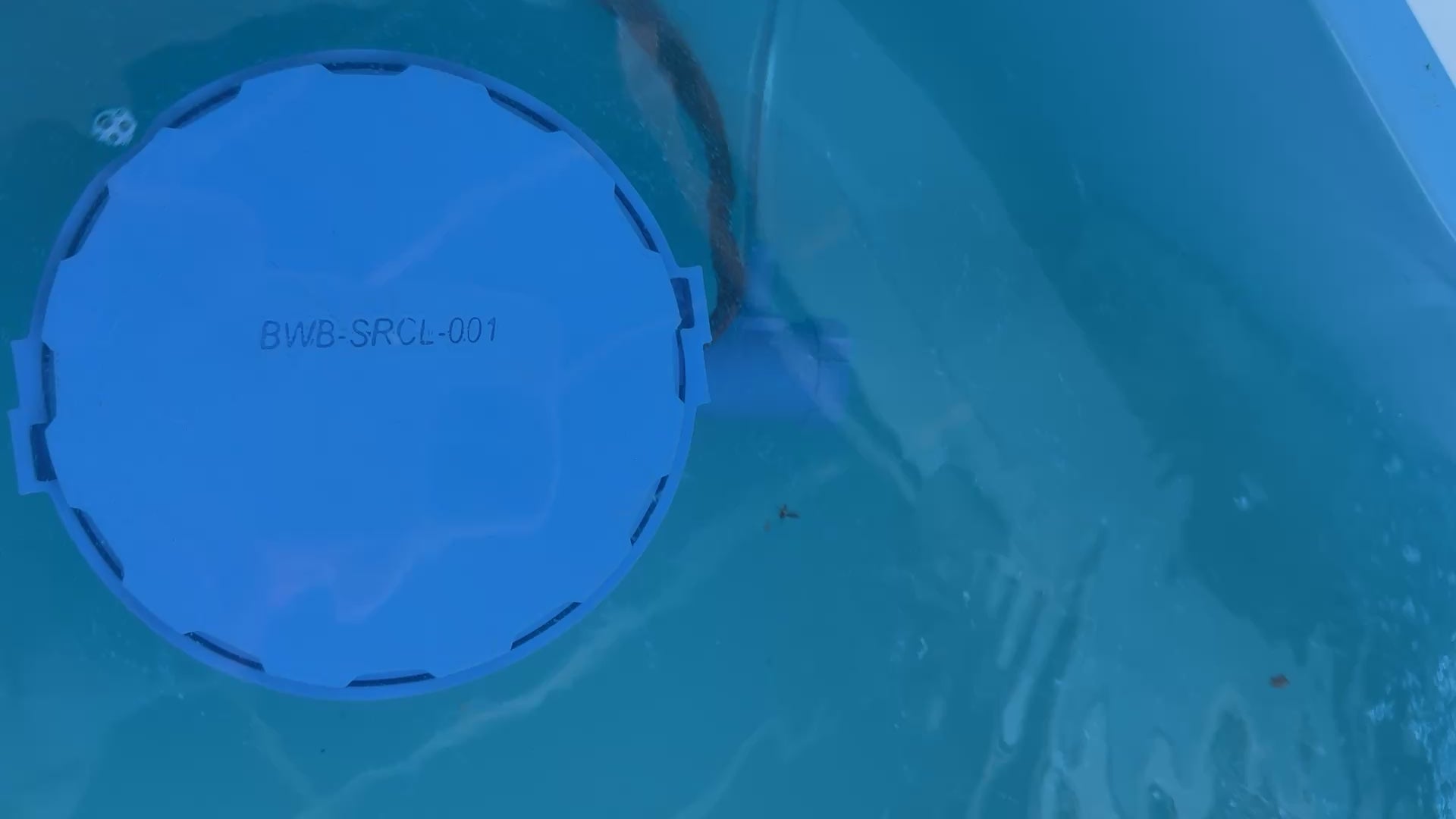 BaitWell Buddy System